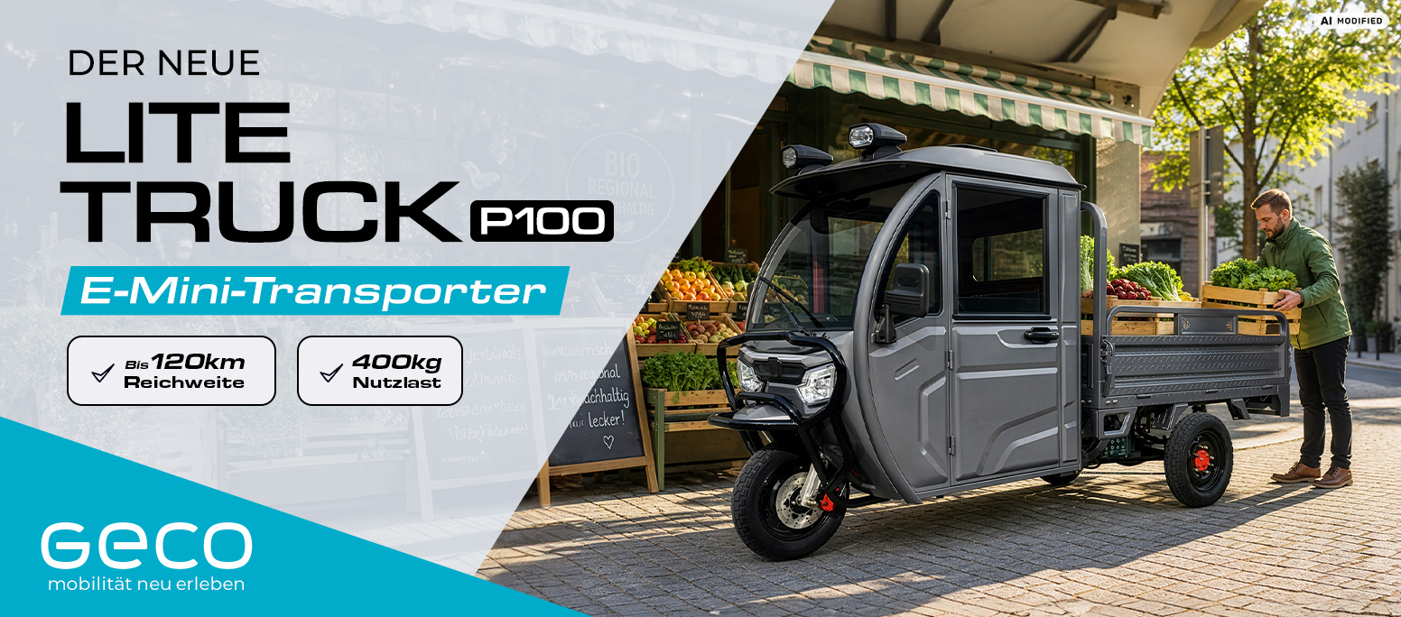 Lite Truck P100
